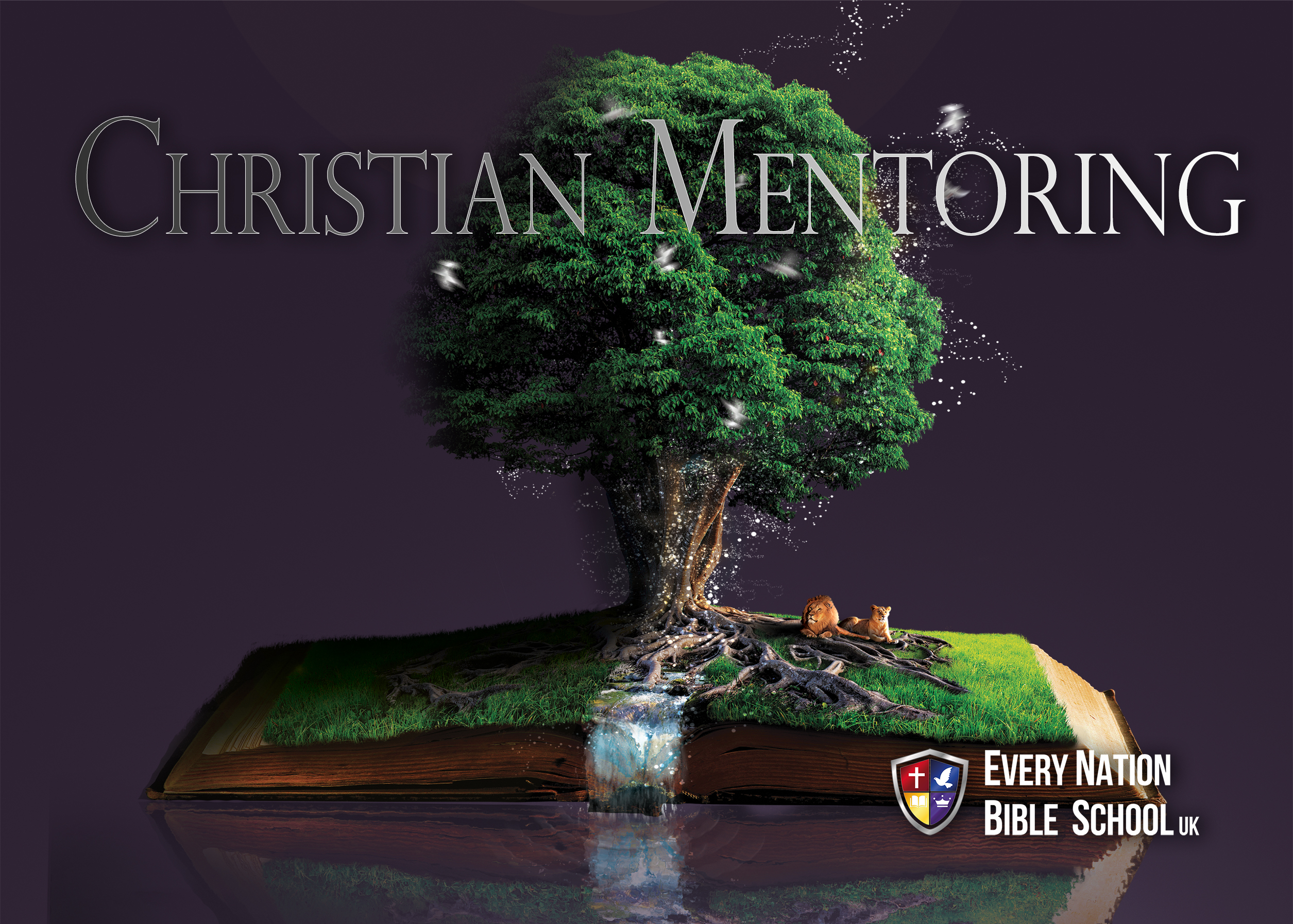 Christian Mentoring Course UK